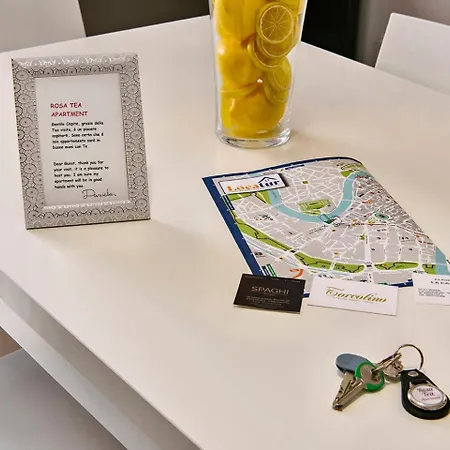 Rosa Tea Castelvecchio Lejlighed Verona